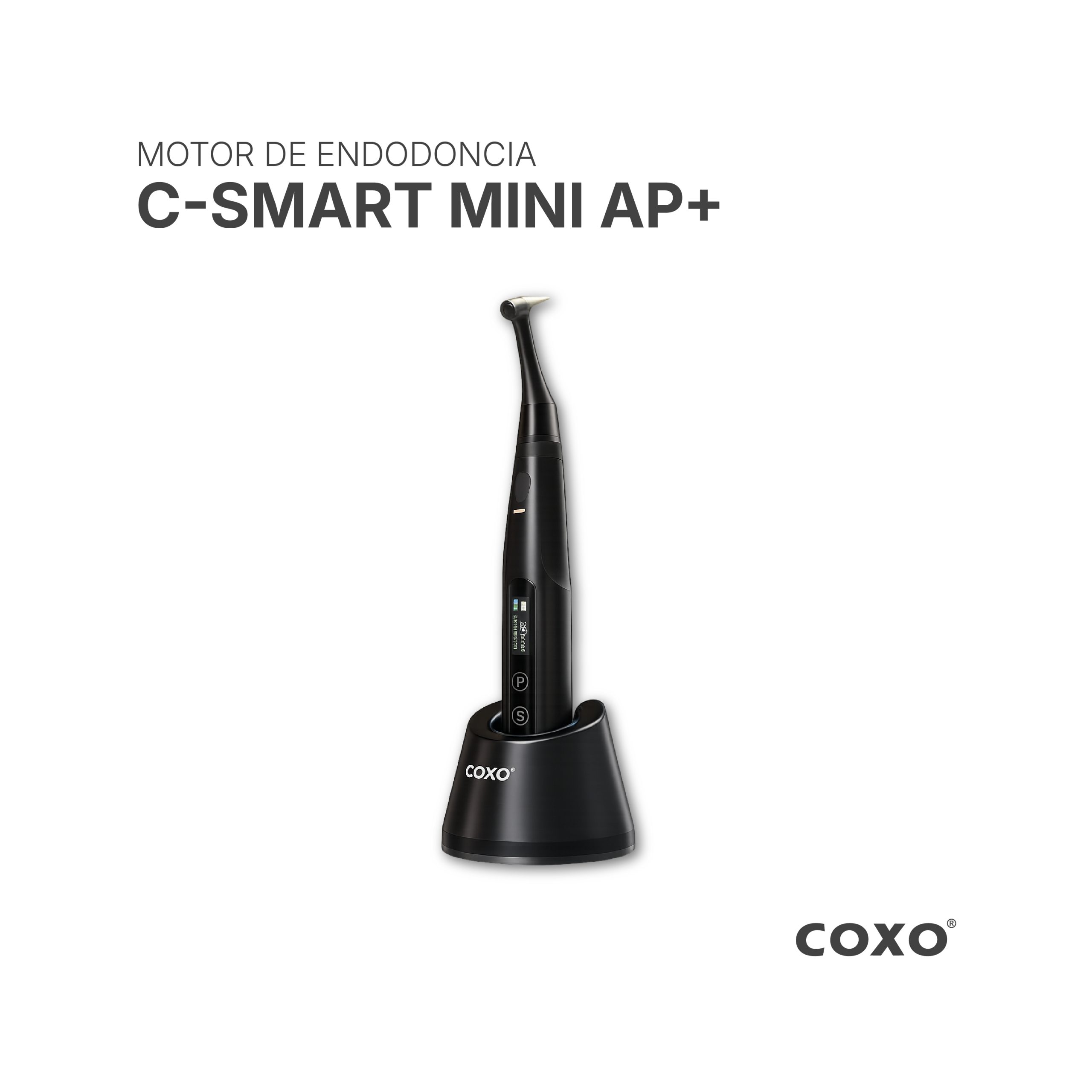 Motor de Endodoncia C-SMART MINI AP+ | Coxo